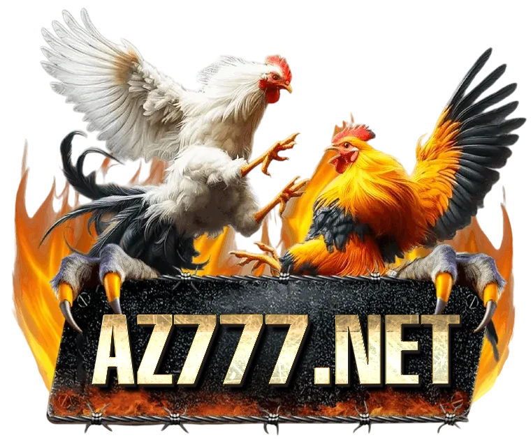 DG567.NET